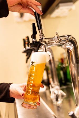 Barkeeper zapft ein frisches Pils-Bier